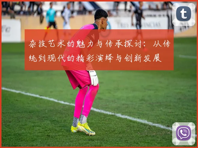 杂技艺术的魅力与传承探讨：从传统到现代的精彩演绎与创新发展
