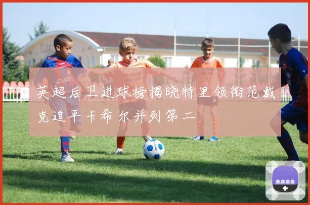 英超后卫进球榜揭晓特里领衔范戴克追平卡希尔并列第二