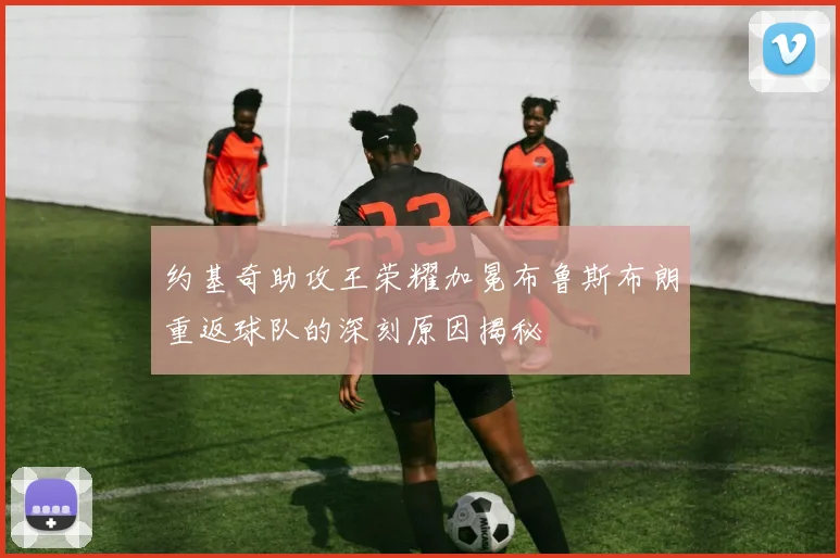 约基奇助攻王荣耀加冕布鲁斯布朗重返球队的深刻原因揭秘