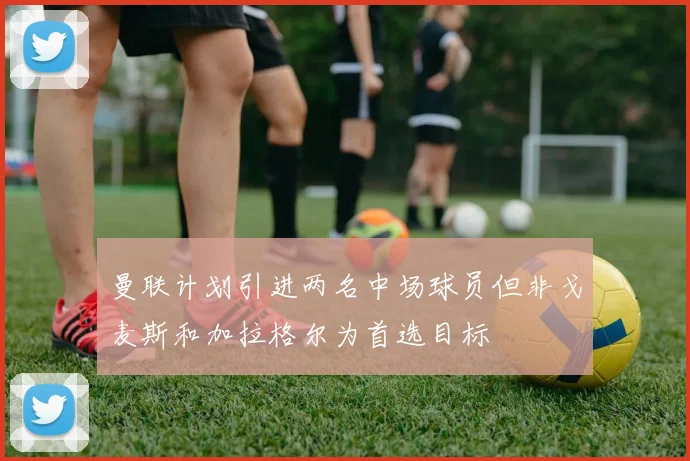 曼联计划引进两名中场球员但非戈麦斯和加拉格尔为首选目标