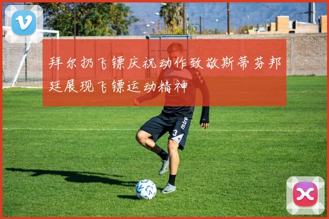 拜尔扔飞镖庆祝动作致敬斯蒂芬邦廷展现飞镖运动精神